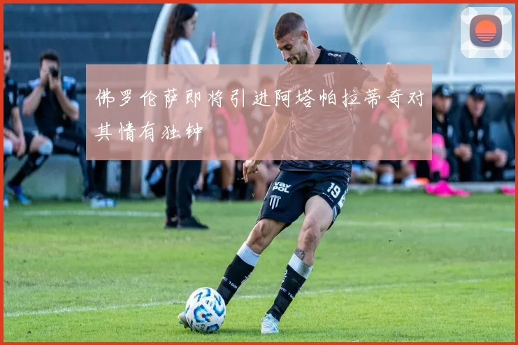 佛罗伦萨即将引进阿塔帕拉蒂奇对其情有独钟